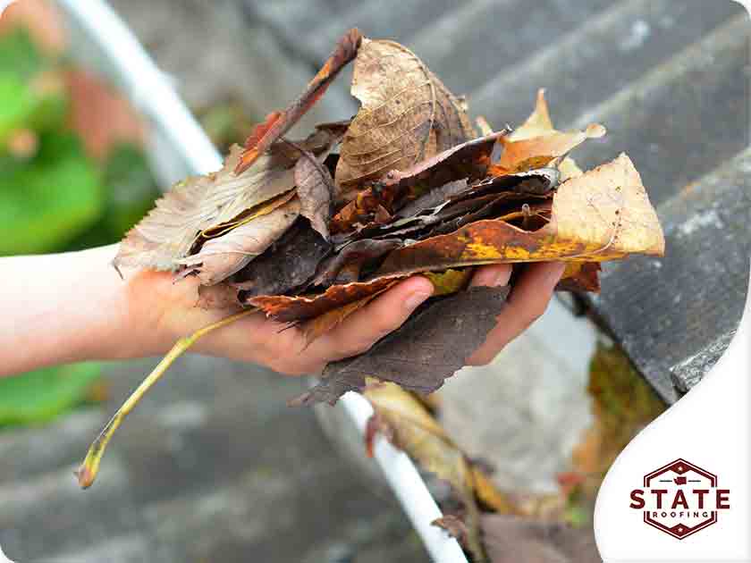 Clogged Gutters